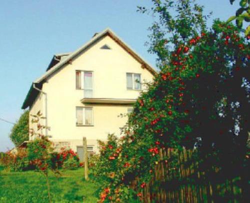 KaliskaAgroturystyka Leśna Wyspa的前面有红花的白色房子