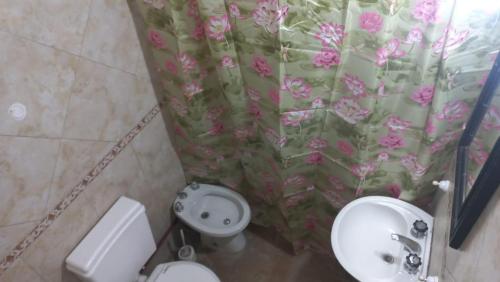 圣路易斯Departamento La Argentina的浴室配有水槽、卫生间和浴帘