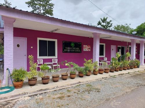 瓜拉大汉塔曼内加拉河景山林小屋的前面有盆栽植物的粉红色建筑