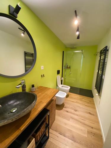 洛韦雷卡布里萨卡Casa Cristina的一间带水槽、镜子和卫生间的浴室
