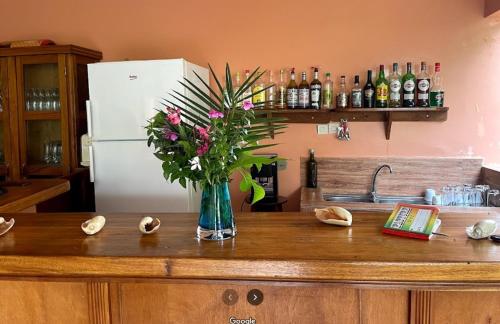 FimelaChez Kangou Lodge的花瓶坐在厨房柜台上