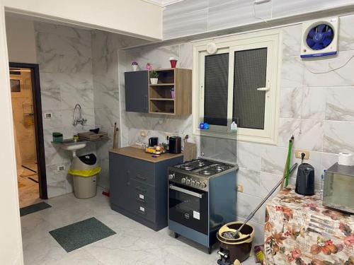 开罗New Cairo lux apt in lux villa basement1的小厨房配有炉灶和水槽
