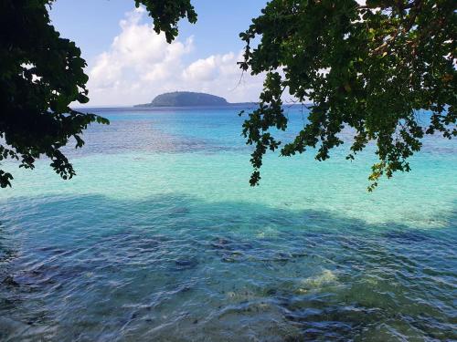 Hog HarbourLonnoc Beach Lodge的享有一大片水景