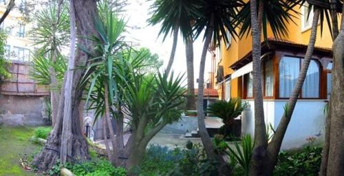 索伦托Villa Orchidea的一群棕榈树在一座建筑前