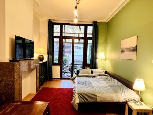 布鲁塞尔Cozy, comfortable apt, well located - EU ULB VUB的一间卧室设有一张床和一个大窗户