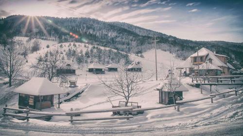 兹拉蒂博尔Etno kuće Boškova Voda的山上一座有房子的雪覆盖的村庄