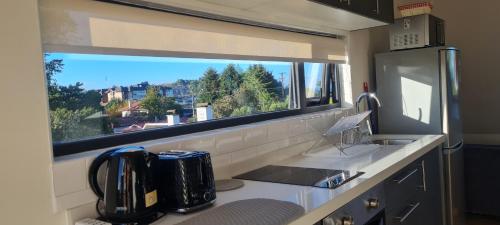 巴拉斯港Patagonia Route Apartments的厨房配有水槽和窗户。