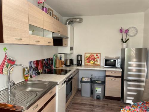 珀丽Wehr Orchidee Apartment的厨房配有水槽和不锈钢冰箱