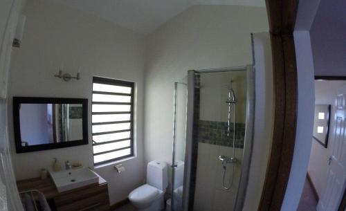 拉戈莱特Villa des Frangipanes的带淋浴、卫生间和盥洗盆的浴室