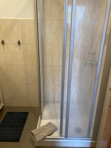 奥斯赛拜-塞林吕根岛公寓的浴室里设有玻璃门淋浴