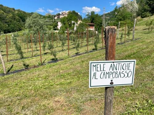 Agriturismo Fattoria Togonegro平面图