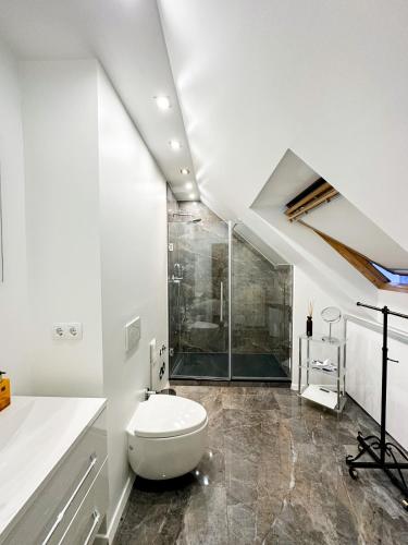 巴登-巴登Downtown Apartments Theatre的一间带卫生间和玻璃淋浴间的浴室