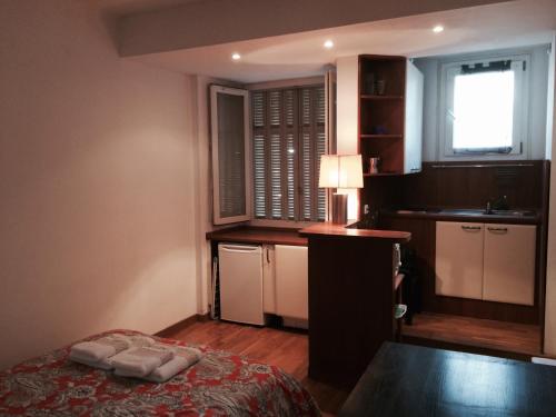 尼斯尼斯哈勒维公寓的小房间设有床和厨房
