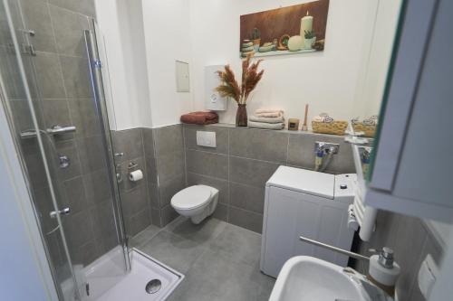 沃尔姆斯Coole Altbau-WE 1-ZKB Terrasse Worms Zentrum的浴室配有卫生间、淋浴和盥洗盆。