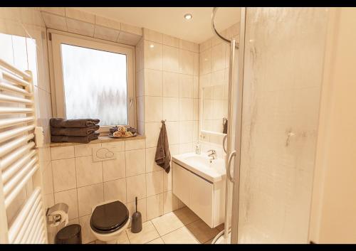巴特莱辛哈尔Ferienwohnung Daniel的一间带卫生间、水槽和窗户的浴室