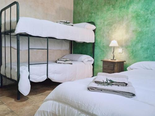 La Puebla de MontalbánEl capricho de Diego的带两张双层床的绿色墙壁客房