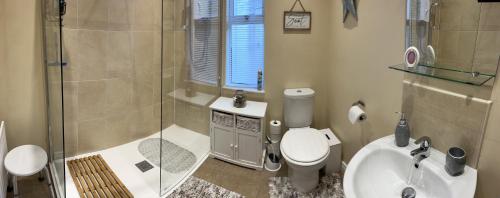 恩尼斯基林TJ’s Cottage的带淋浴、卫生间和盥洗盆的浴室