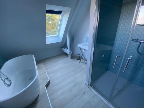康卡勒La maison des Rimains的一间带卫生间和玻璃淋浴间的浴室