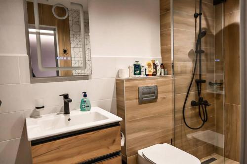 索非亚Very Spacious & Modern 3Bed near Airport & Centre的一间带水槽和淋浴的浴室