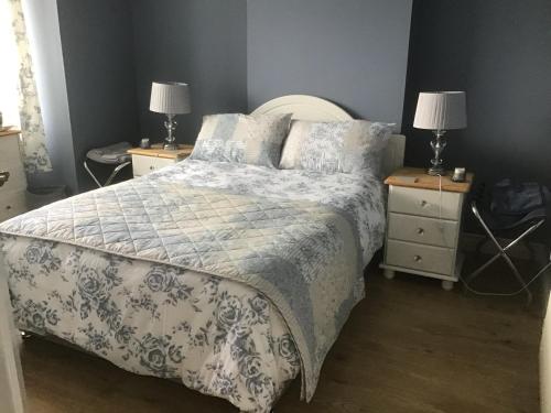 恩尼斯基林TJ’s Cottage的一间卧室配有一张床和两个带灯的床头柜