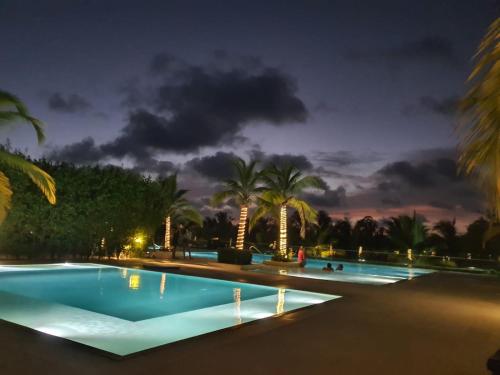卡塔赫纳Apartamento de Lujo, Mejor Zona de Cartagena, Manzanillo del Mar y Playa.的棕榈树的夜间游泳池