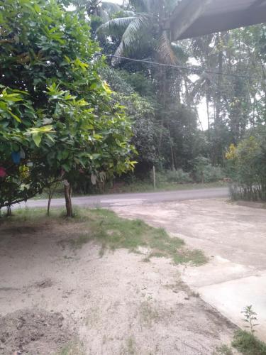 Pasir MasLayya Homestay的路边有树木的土路