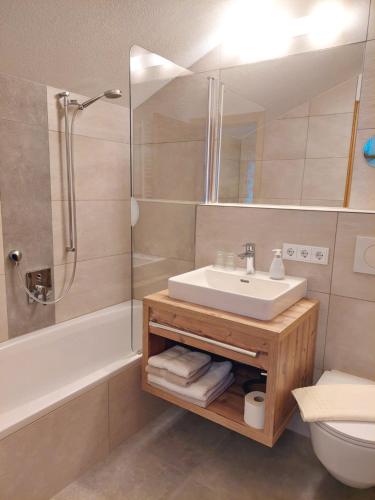 莱尔莫斯Landhaus Gerber的一间带水槽、淋浴和卫生间的浴室