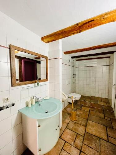 巴尔莱本Eine Etage im historischen Gästehaus bei Magdeburg的浴室配有蓝色水槽和卫生间。