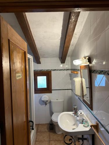 瓦伦西亚Granja El Regajo的一间带卫生间、水槽和镜子的浴室
