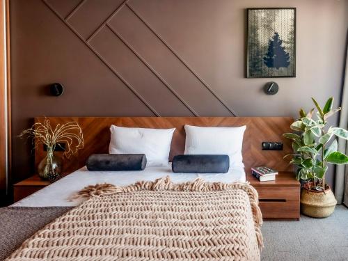杜什尼基-兹德鲁伊Villa Cam In Ski的一间卧室配有一张带两个枕头的床