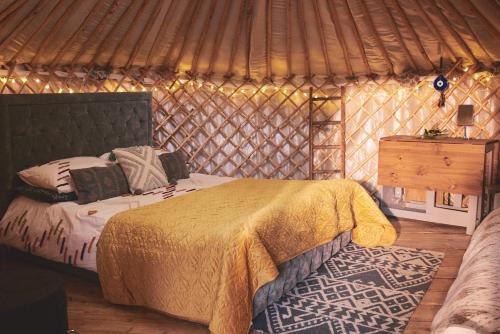 阿伯里斯特威斯Elf Yurt - Yurtopia的蒙古包内一间卧室,配有一张床