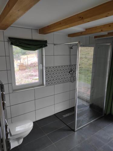 加沃尔金卡Gościniec Śliwkula的一间带卫生间和窗户的浴室
