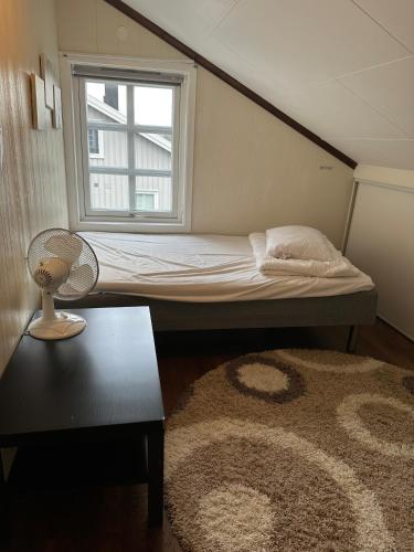 维尼斯拉Familievennlig leiligheten leies ut på Sørlandet.的一间小卧室,配有床和窗户