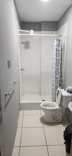 拉塞瓦Hotel El Dorado的带淋浴和卫生间的浴室。
