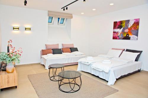 萨格勒布鲜花顶级公寓和客房旅馆的一间带两张床和一张沙发的客厅