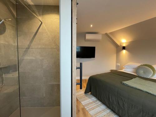 Oude-Tonge雷利餐馆及酒店的一间卧室设有一张床和一个玻璃淋浴间