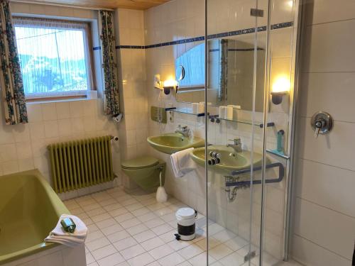 巴特欣德朗Knusperhäusle Reckenberg的一间带玻璃淋浴和水槽的浴室