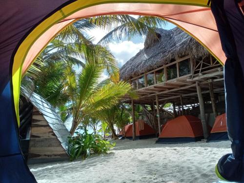 图卢姆Chavez Eco Beach Camping and Cabañas的海滩上的帐篷,棕榈树