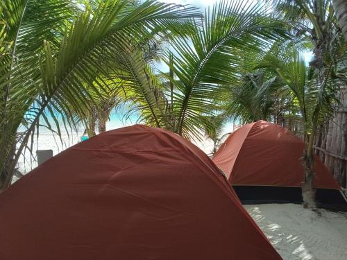 Chavez Eco Beach Camping and Cabañas
