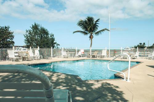 马拉松皮普船长的海洋＆海德薇酒店的围栏后面的游泳池,棕榈树