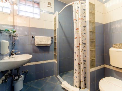 萨拉热窝Hotel Kandilj的一间带卫生间和水槽的浴室