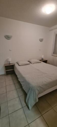 迪涅莱班Residence T2 du Golf de Digne的卧室配有一张床,地板上设有2个床头柜