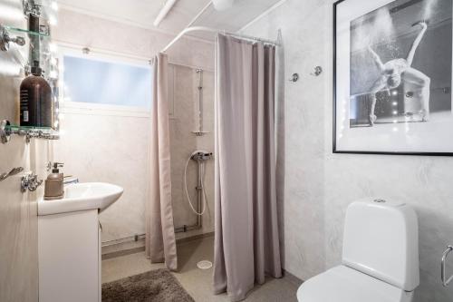 DomsjöSpacious Villa located in Beautiful High Coast的浴室配有卫生间、盥洗盆和淋浴。