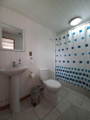 比亚里卡Hostería Alemana的浴室配有白色卫生间和盥洗盆。