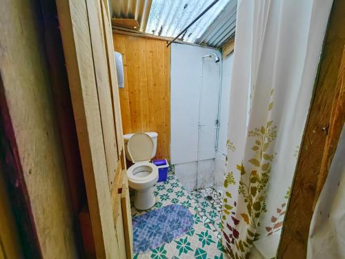 萨兰托Hostal La Pijaraña的一间带卫生间和淋浴的小浴室