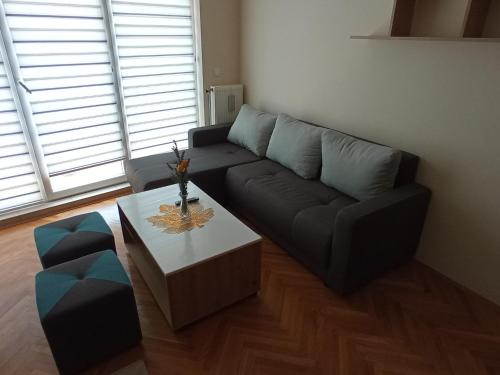 大格拉迪什泰Apartman STANKOVIĆ的带沙发和咖啡桌的客厅
