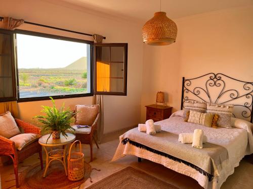 Valles de OrtegaTranquila casa rural en el centro de Fuerteventura的一间卧室设有一张床和一个大窗户