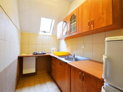 佩霍维采Villa Mariano的一个带木制橱柜和水槽的小厨房