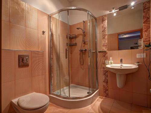扎科帕内Apartament Radowid 15 w centrum z basenem的带淋浴、卫生间和盥洗盆的浴室