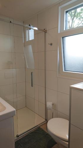 LathumCube IJsselzicht的带淋浴、卫生间和窗户的浴室
